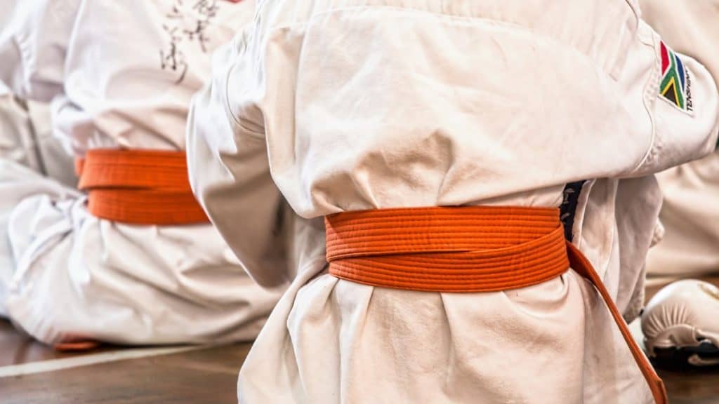 GI Martial Arts: The Complete Guide to Training in a Traditional Uniform