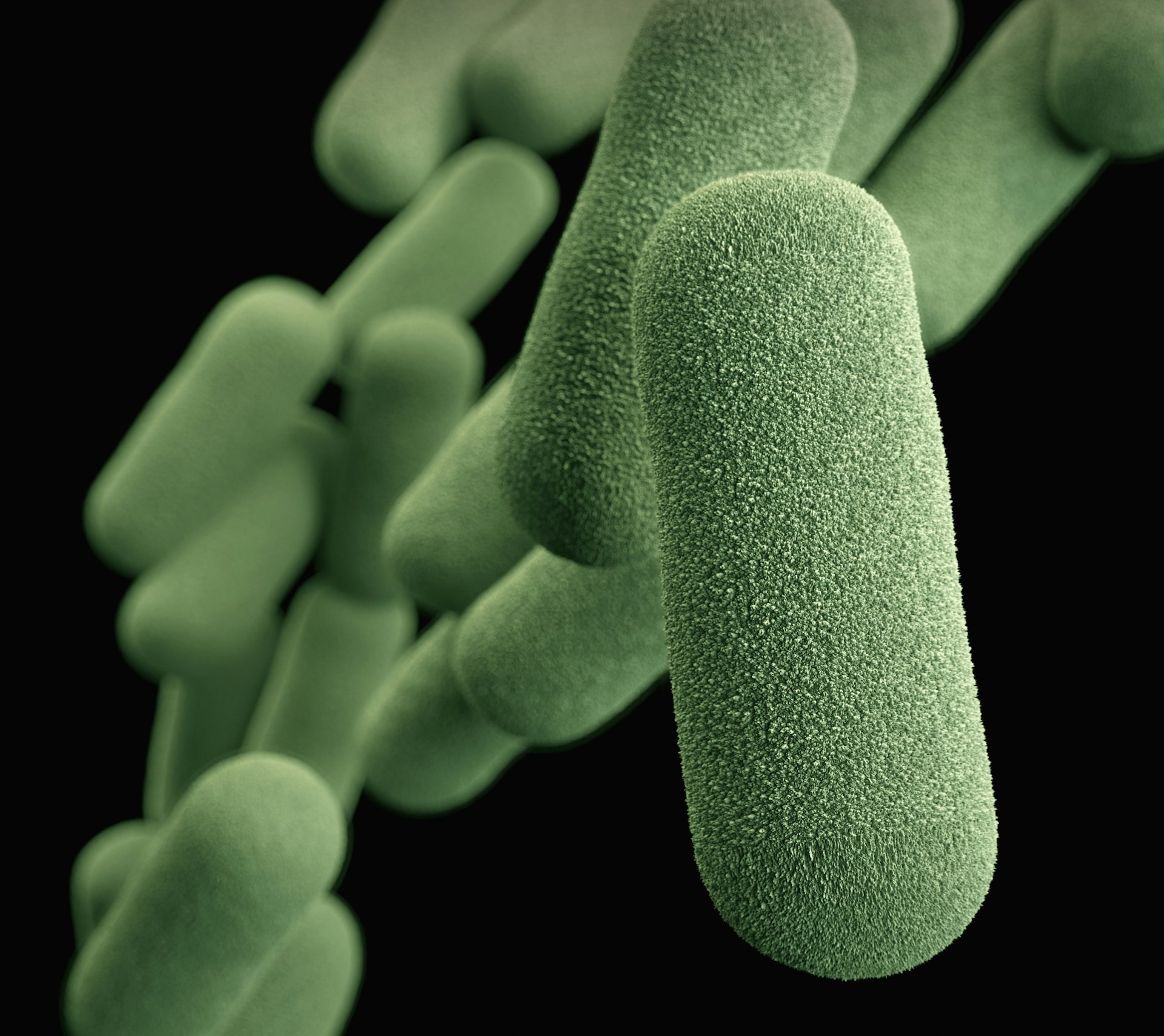 Unlocking Wellness: How a Healthy Gut Microbiome Supports Your Whole Body