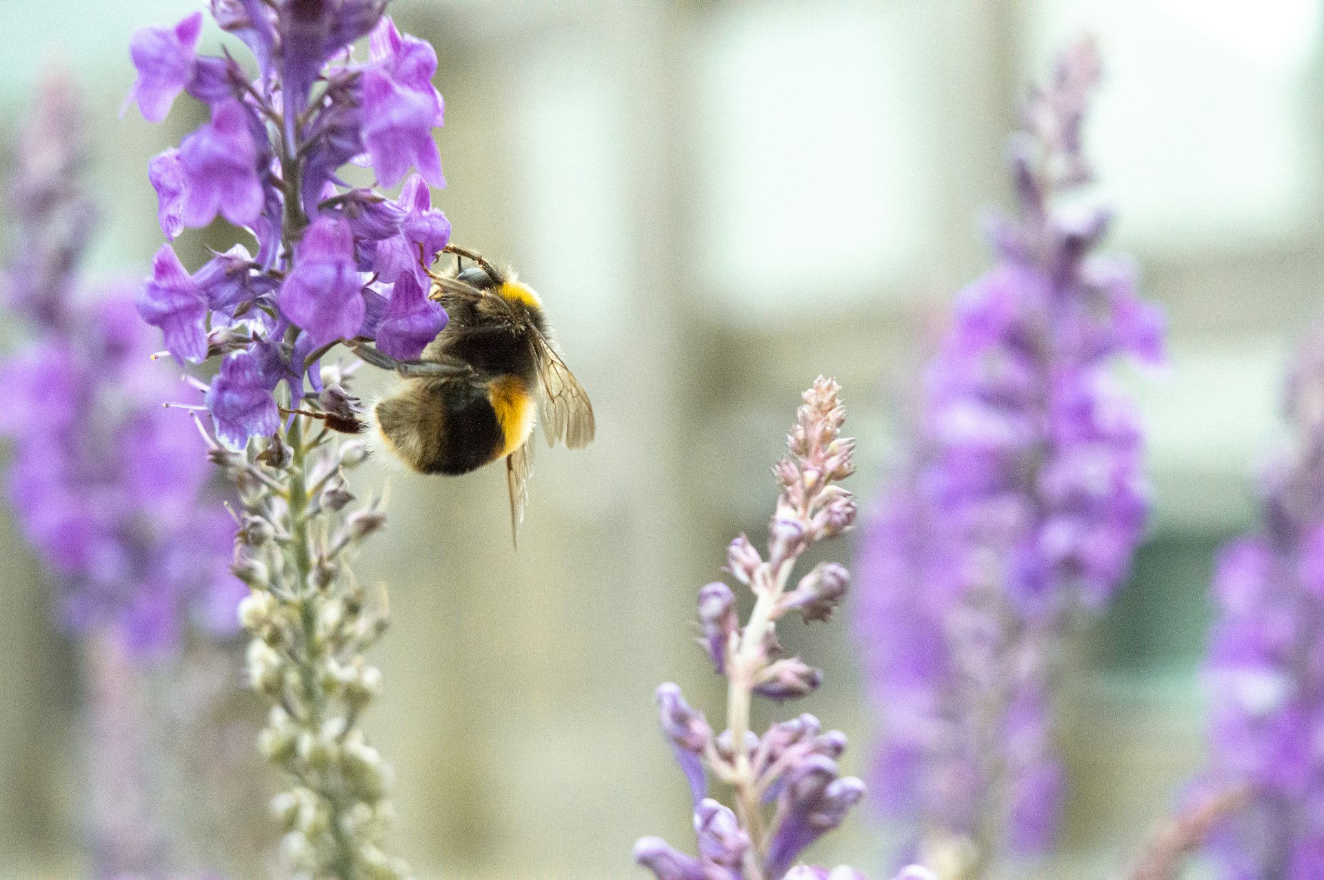 Eco Wellness and Sustainable Living: Transform Your Health and Environment