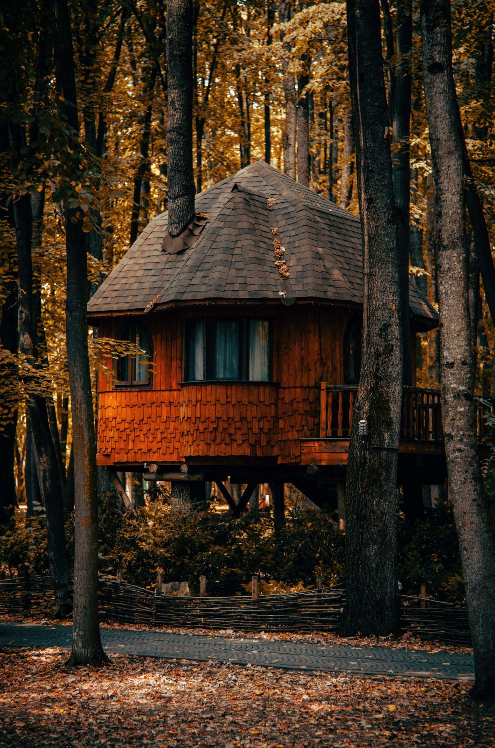 Transform Your Life: Inspiration for the Ultimate Forest Cabin Lifestyle