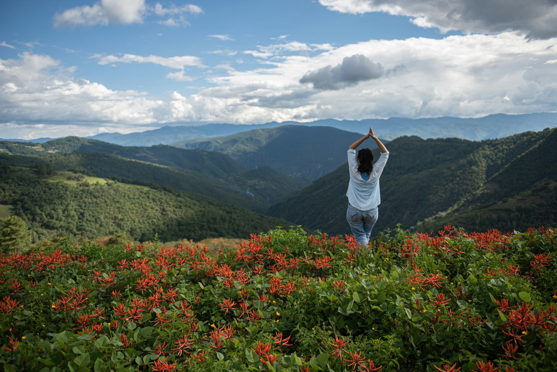 Unlock Creativity and Rejuvenation: Wellness Retreats Designed for Creative Minds