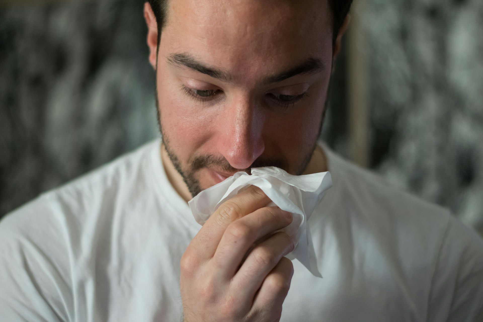 Proven Wellness Routines to Strengthen Your Immune Support