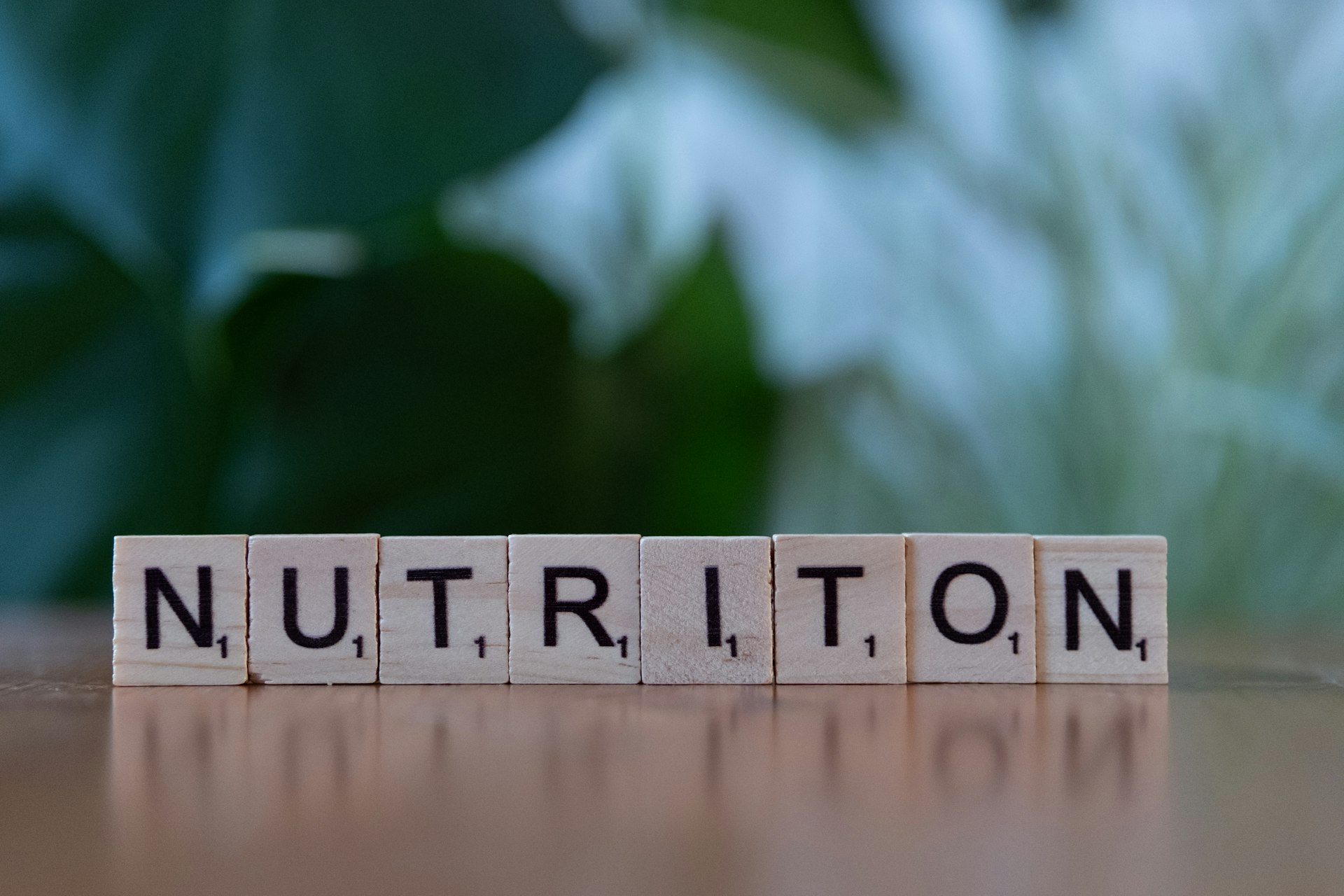 Holistic Nutrition Lifestyle: A Whole-Person Approach to Modern Wellness