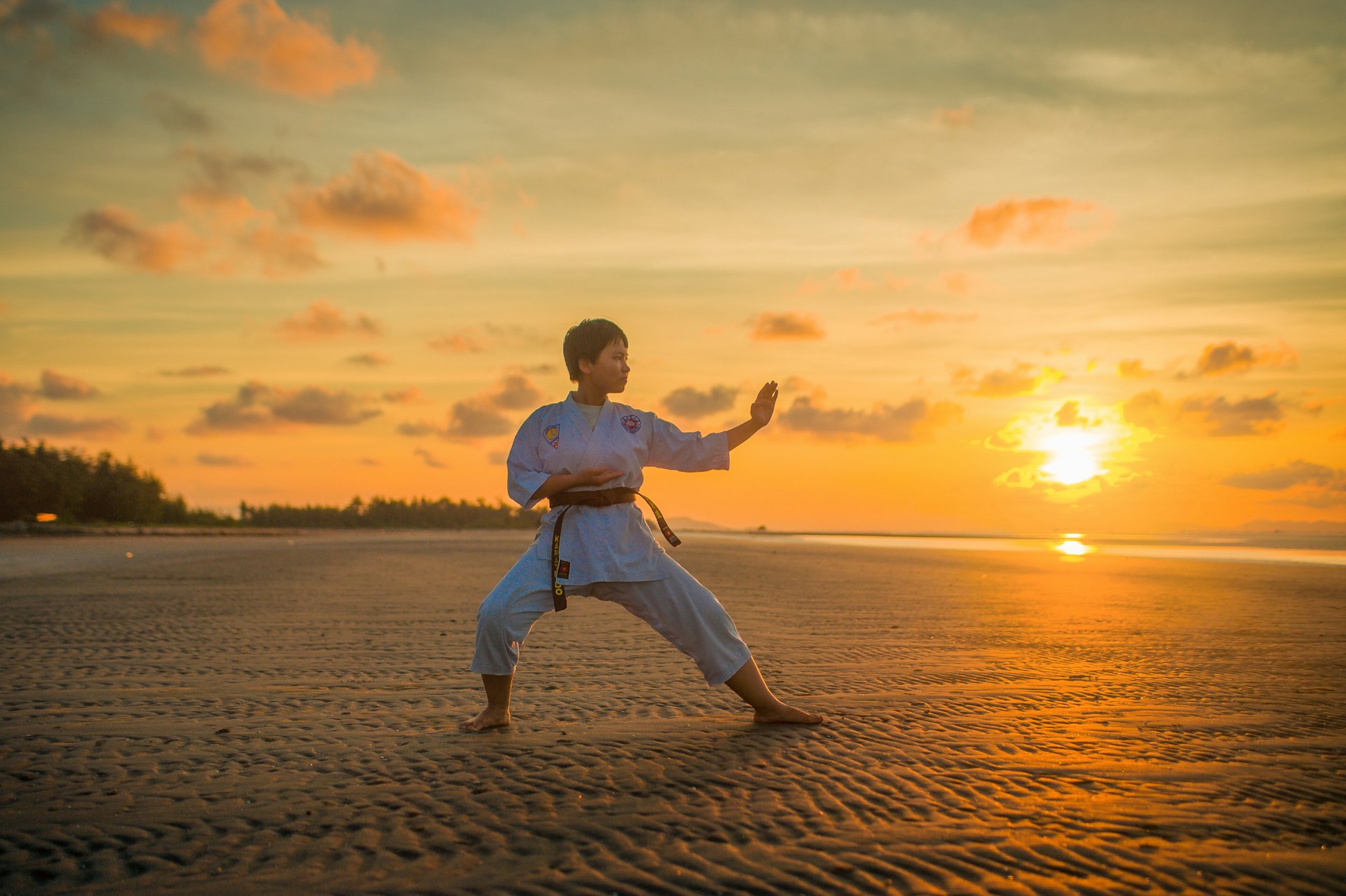 Mastering Martial Arts: Easiest, Hardest, and the Journey to Expertise