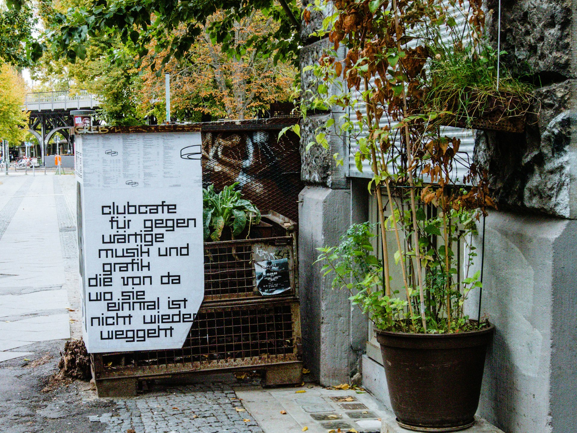 Urban Gardening Lifestyle Ideas: Transform City Living into a Thriving Green Oasis