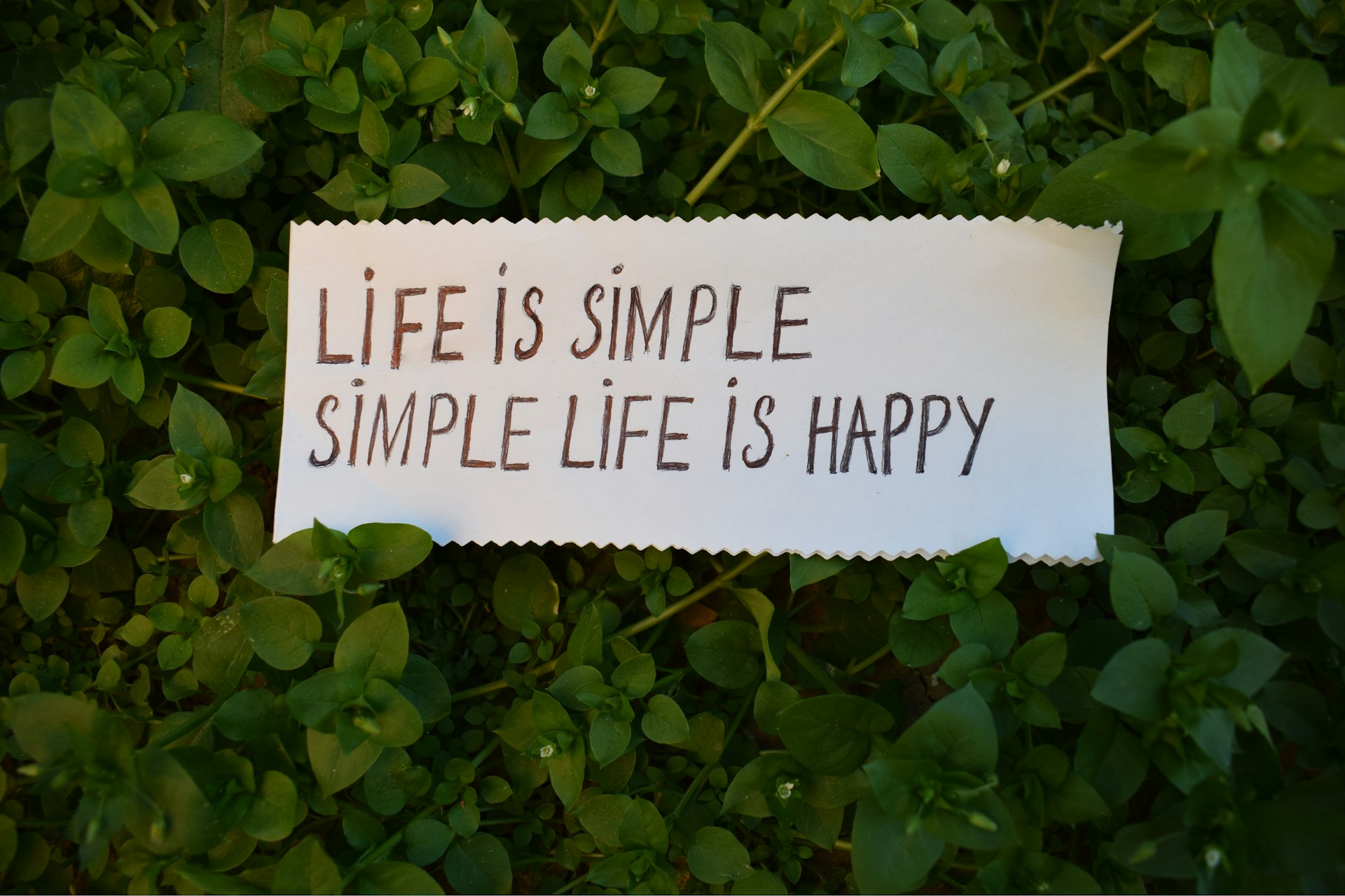 Crafting a Life Framework for Sustained Joy and Fulfillment