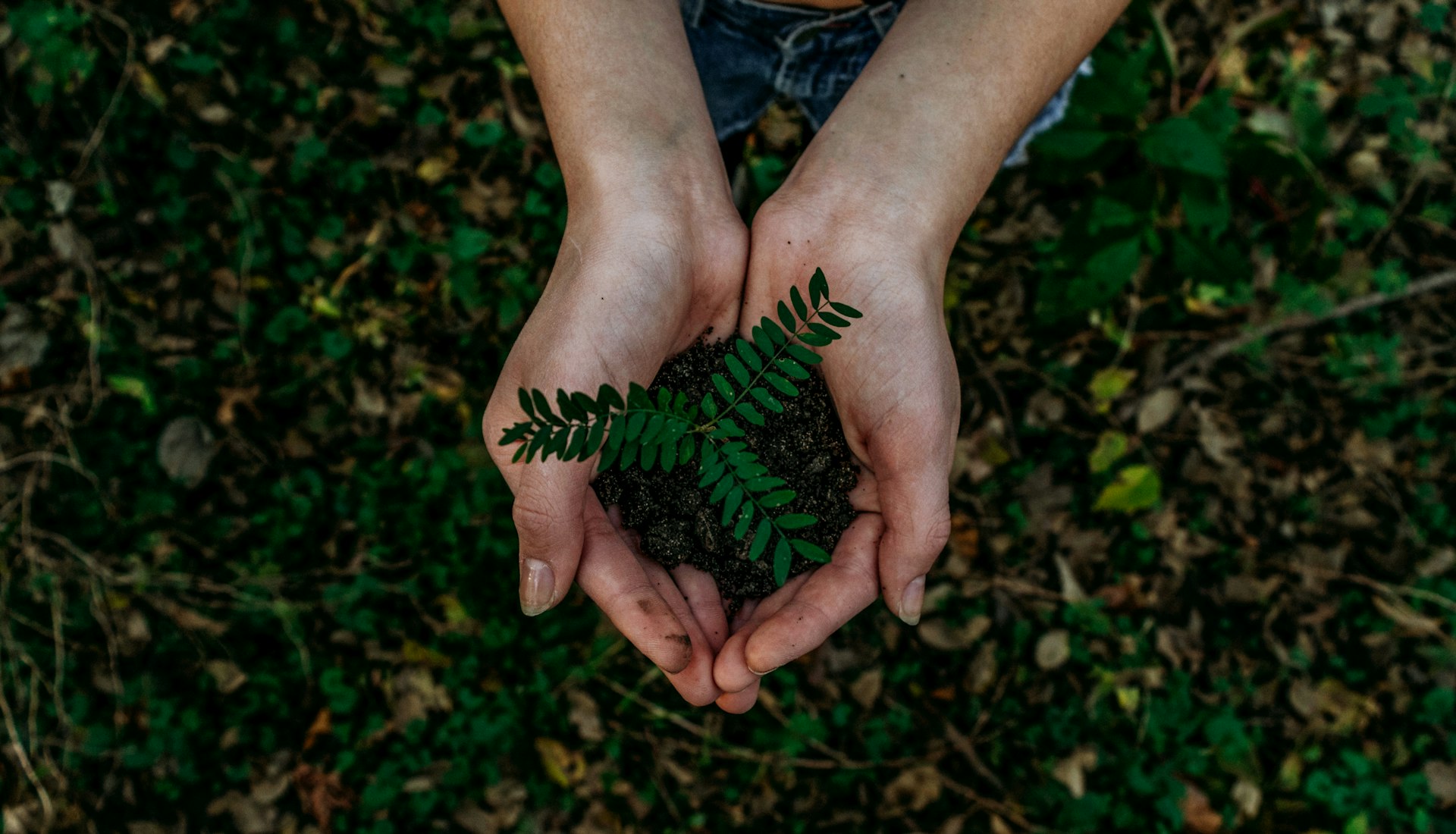 Bridging Daily Self-Care and Planetary Stewardship: A Holistic Approach