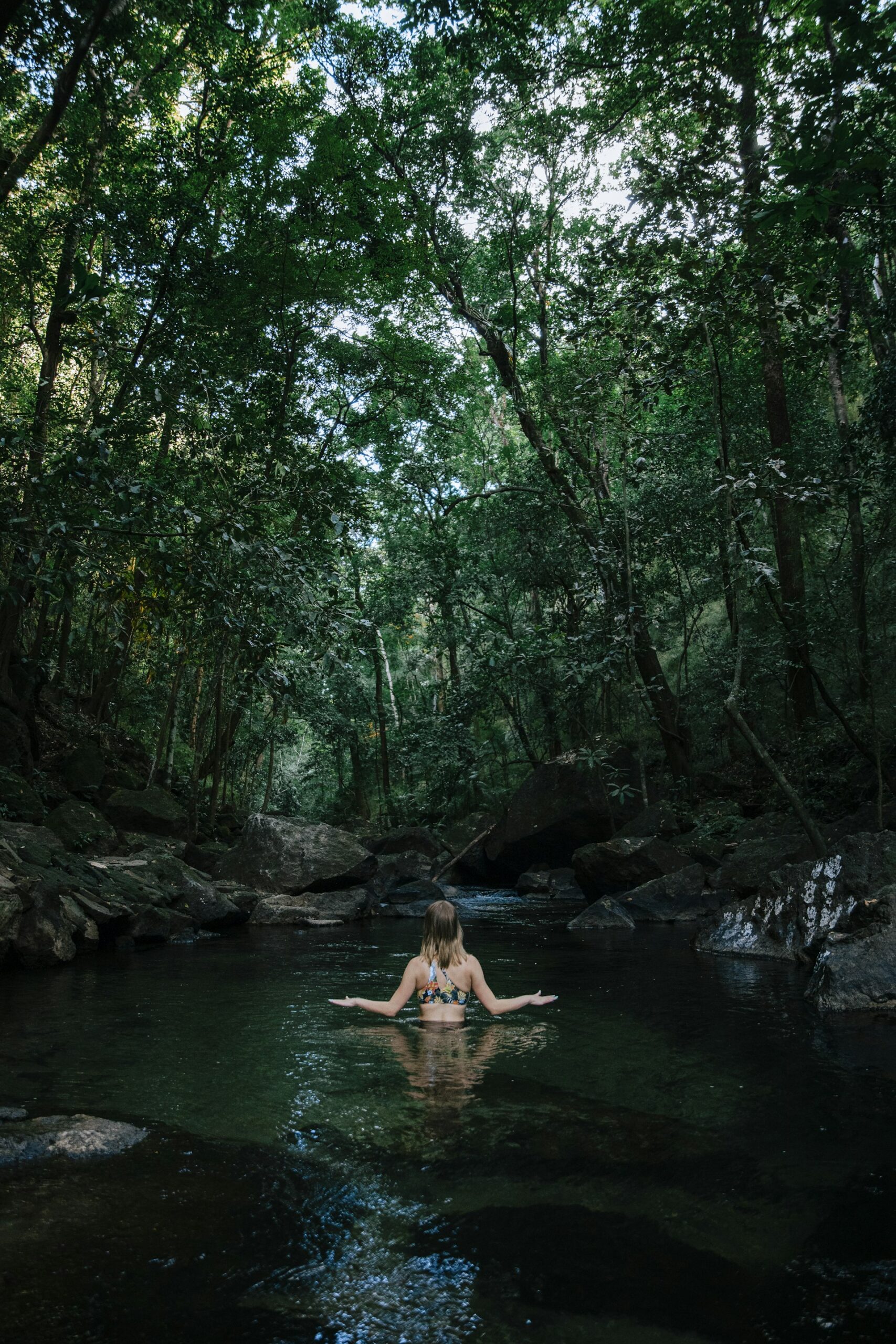 The Quiet Power of Intentional Nature Connection: Beyond Casual Outdoor Walks