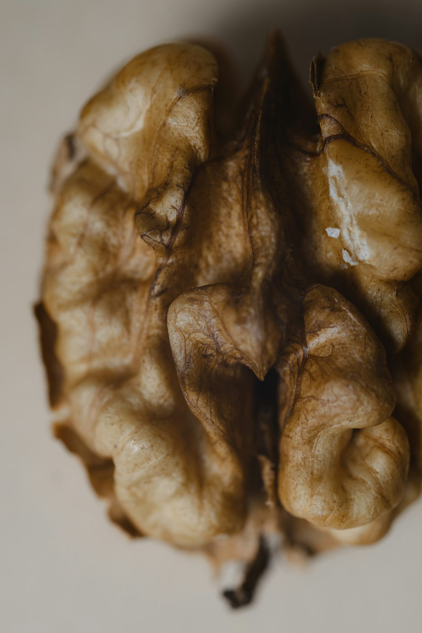 The Link Between Dietary Fats and Brain Function: What You Need to Know