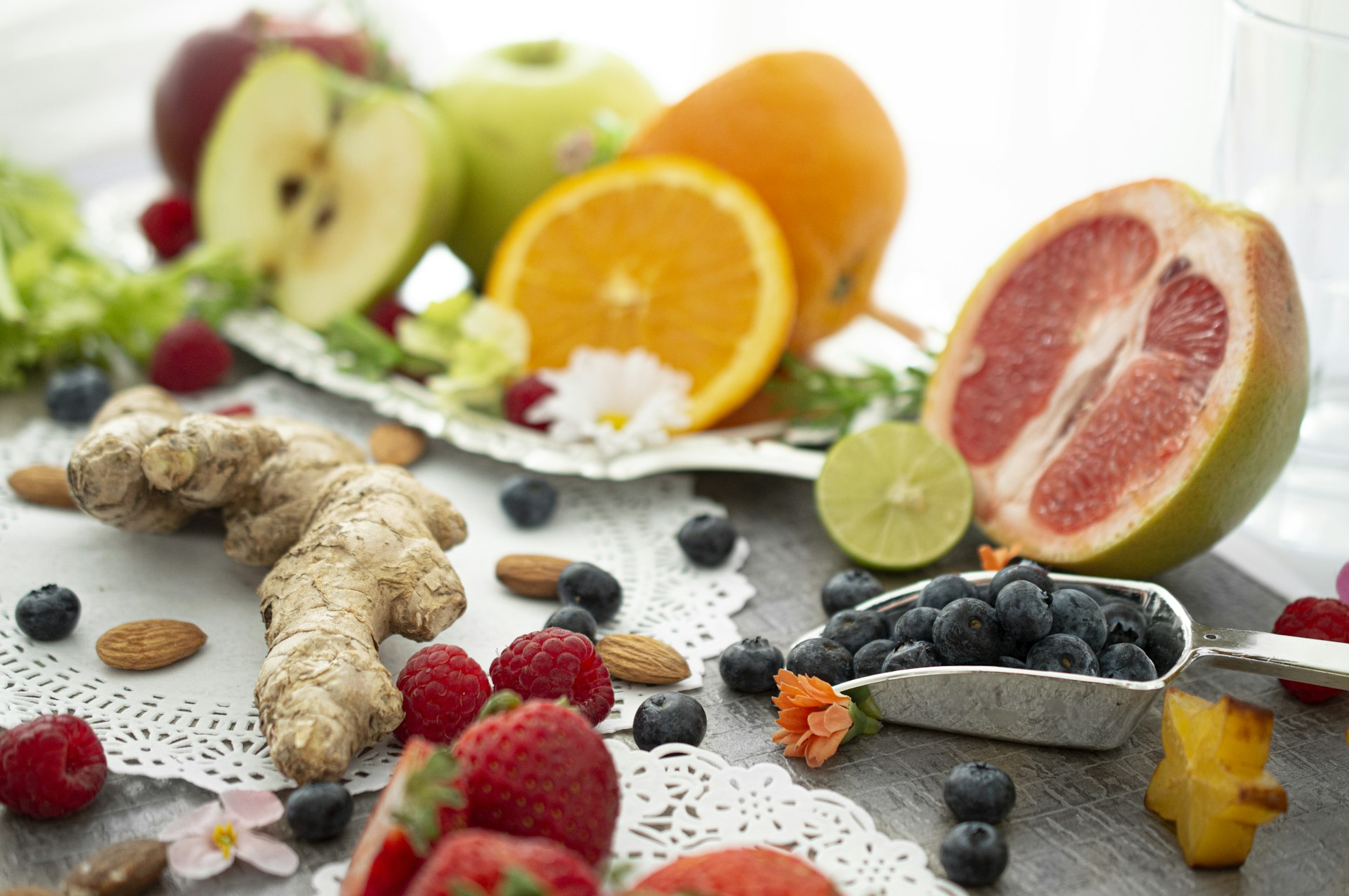 Navigating Immune Health Through Aging: Pathways to Sustained Longevity