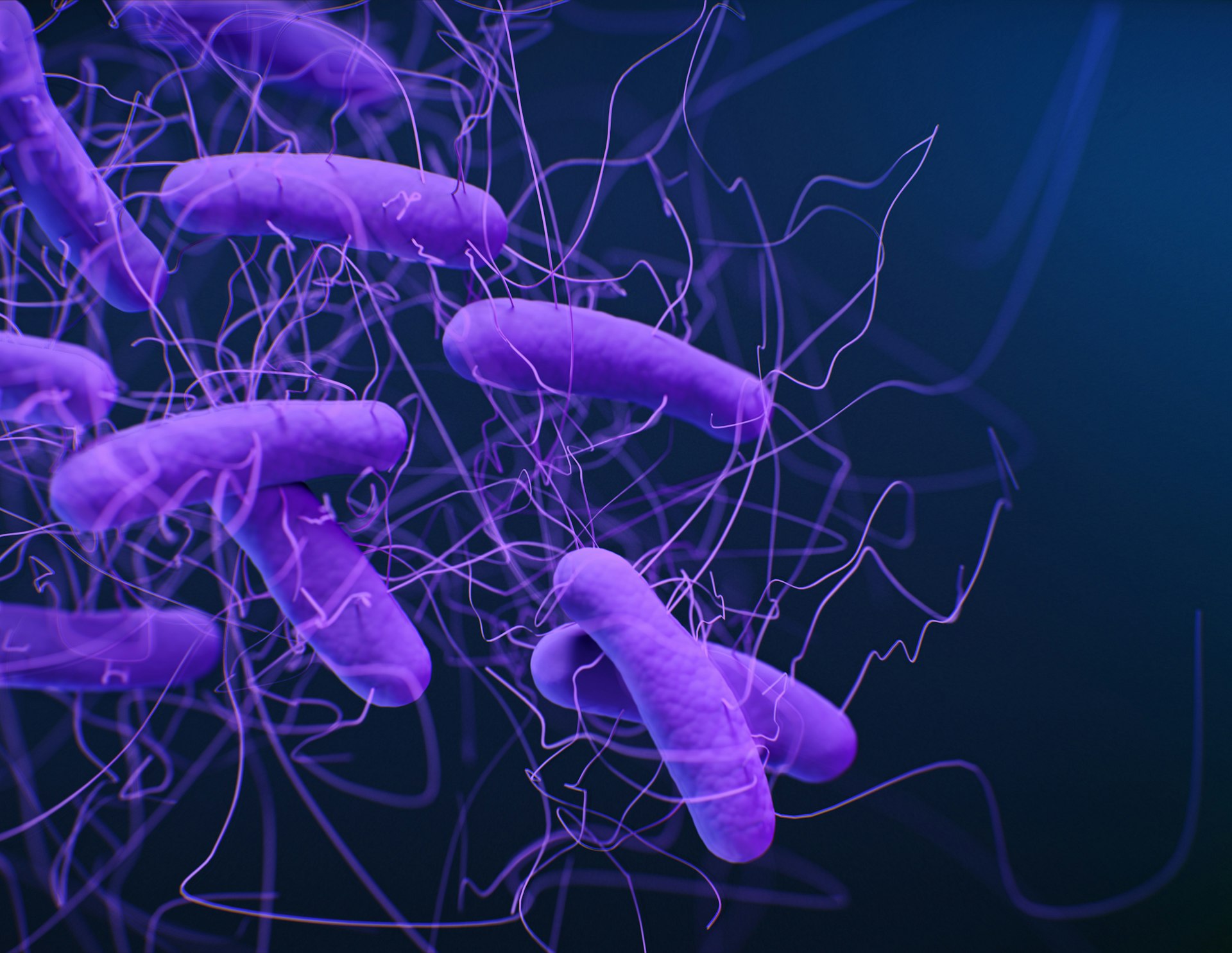 Tailoring Wellness: How Individual Gut Profiles Shape Personalized Health Strategies
